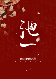 ��һ��np ���� ���ܣ�